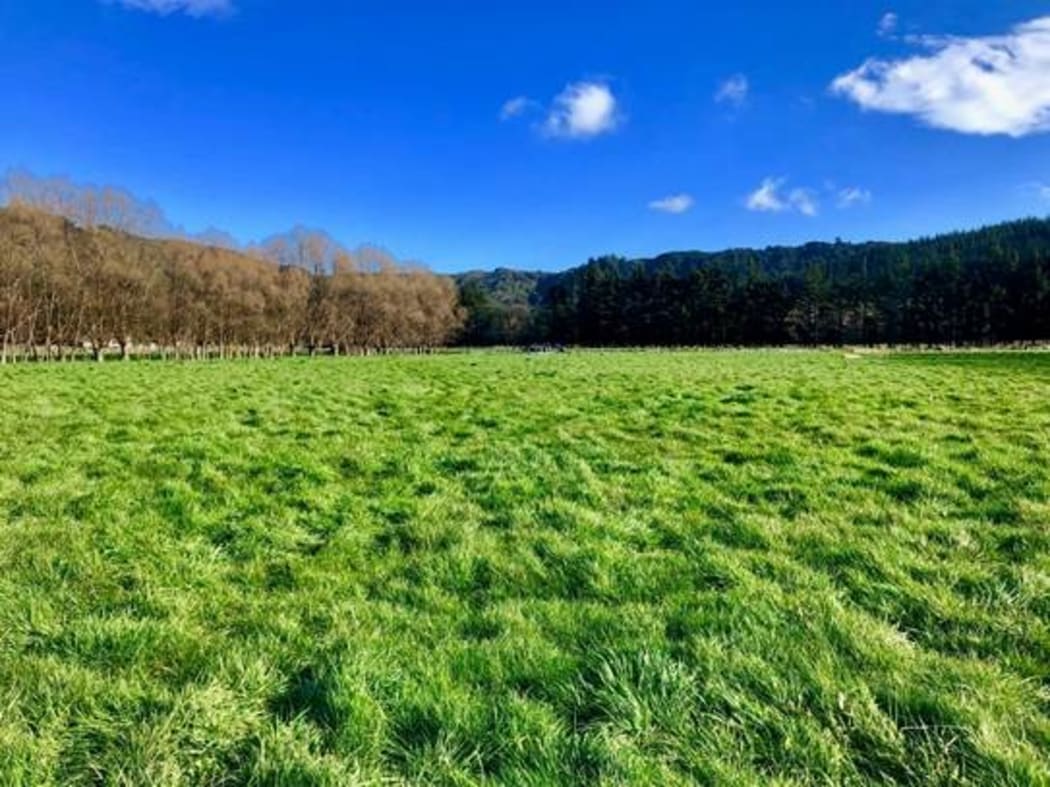 The land developers are building on.