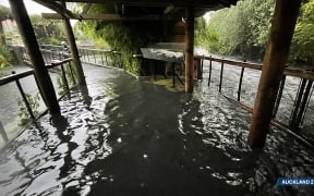 Auckland Zoo flooded after Friday's major rainfall.