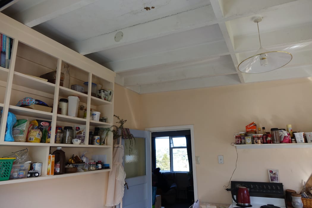 The ceiling of the home Rose is renting.