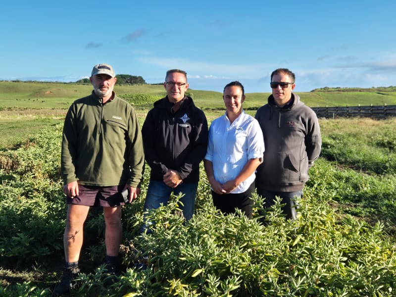 Siblings Richard McClutchie, Rawirie McClutchie, Anne-Maree McKay and Davis McClutchie on their family's farm.