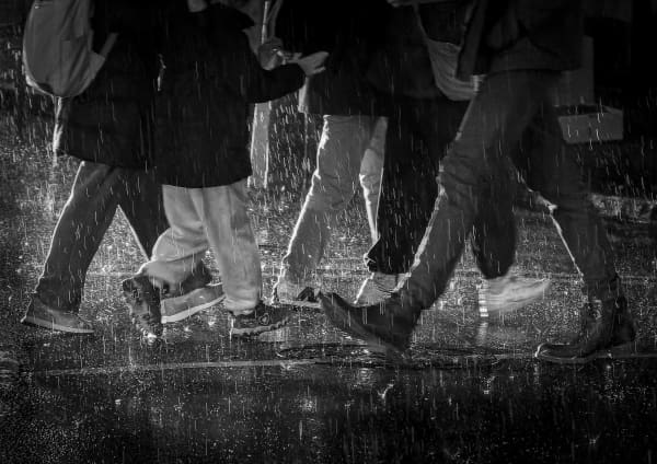 The Wellington Lens Club meet regularly to roam the streets of the capital, taking images and sharing their creative results.