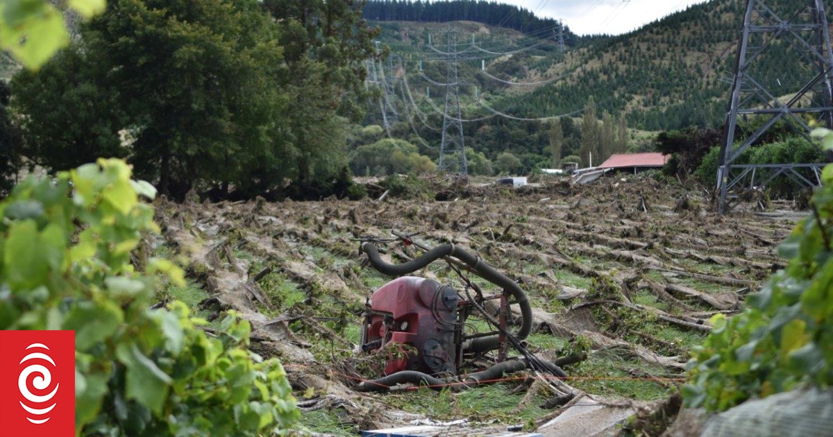 'Devastated not defeated': Winery reopens a year after Cyclone Gabrielle - Vimarsana News