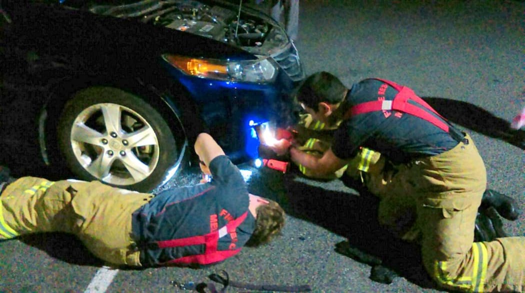 Firefighters work to rescue the animal.