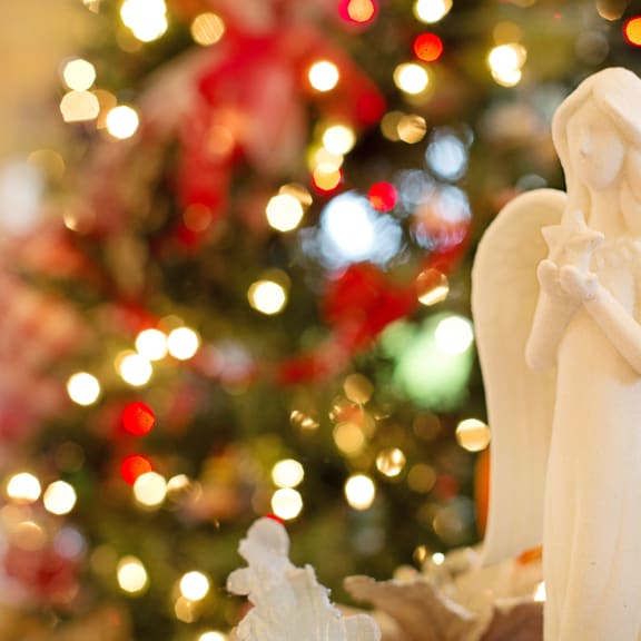 Photo for Happy Christmas!