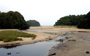 Stewart Island scene.