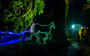 A neon light horse at Light Nelson event.
