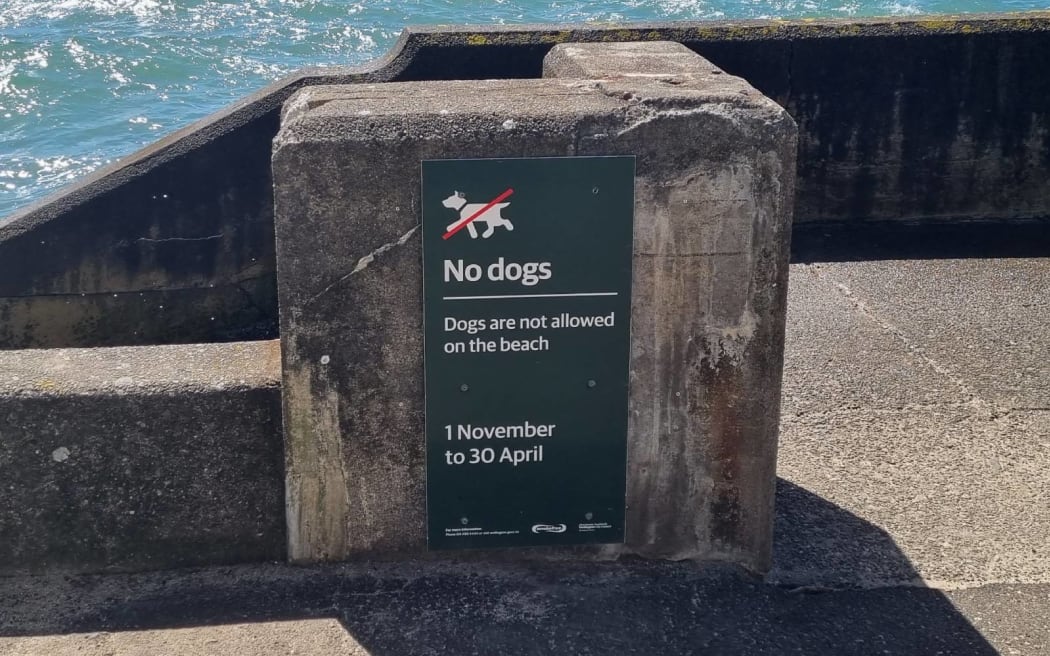 Signage at Oriental Bay Beach.