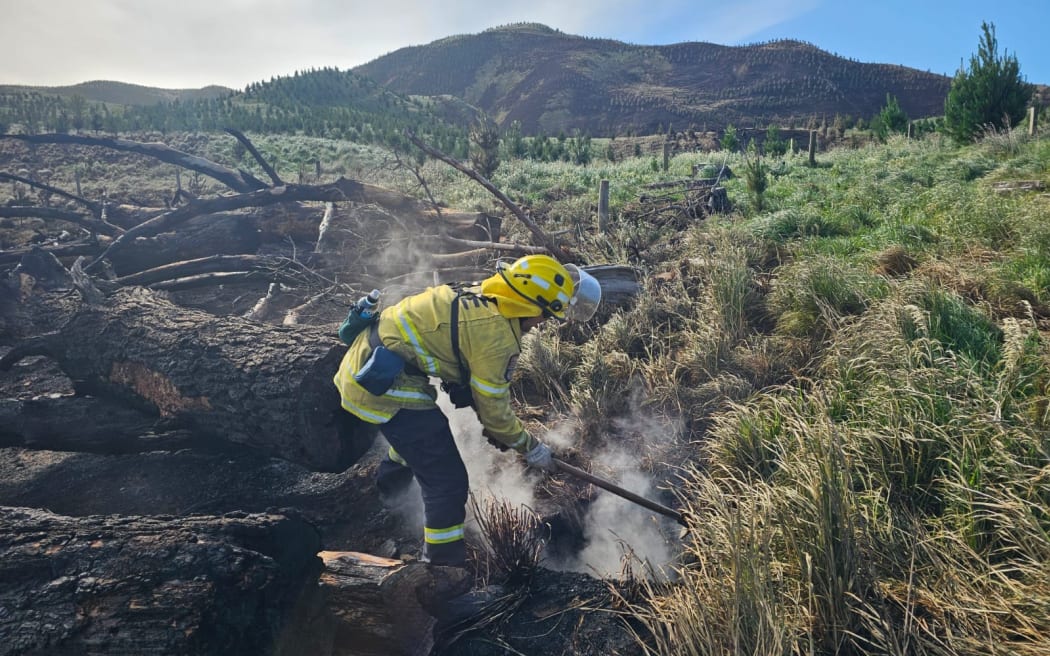 A huge forestry fire near the Central Hawke's Bay village of Pōrangahau last week took days to extinguish.