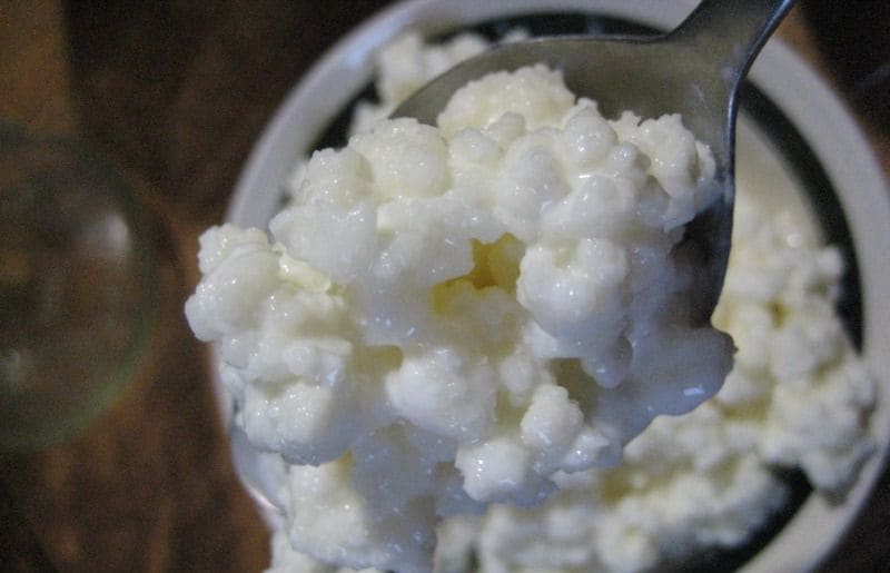 kefir