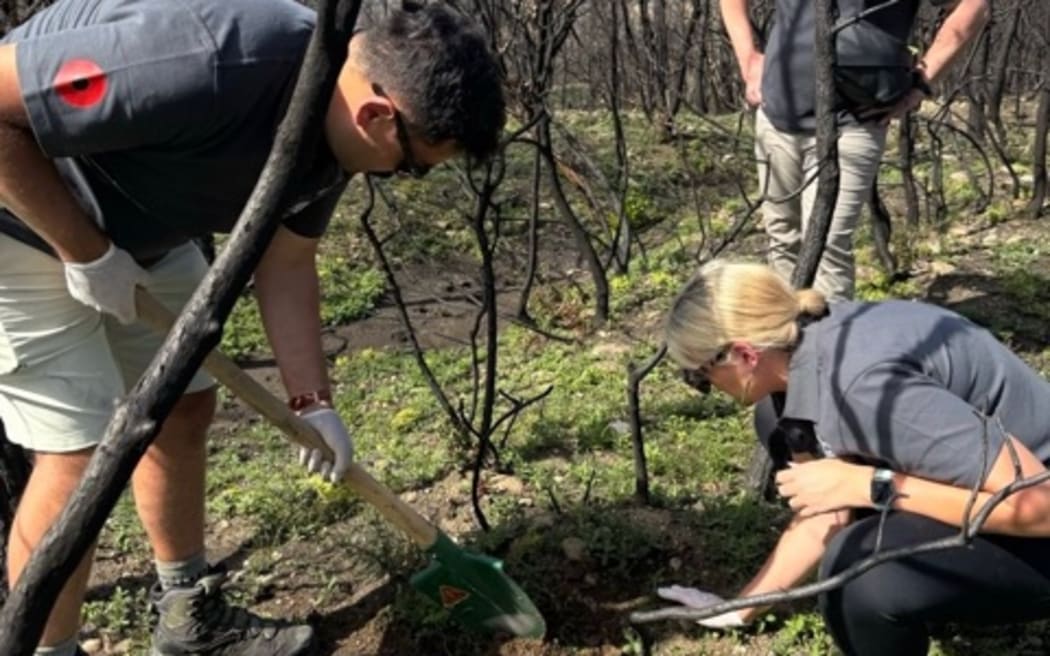 Members of the New Zealand team behind the Anzac Day commemorations in Gallipoli covered remains unearthed by wildfires and rain.