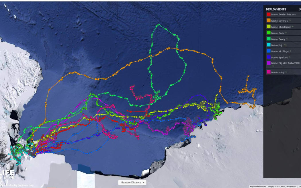 A screengrab of a map of the Antarctic coastline with about six different brightly coloured tracks meandering across the ocean in a wide bay.