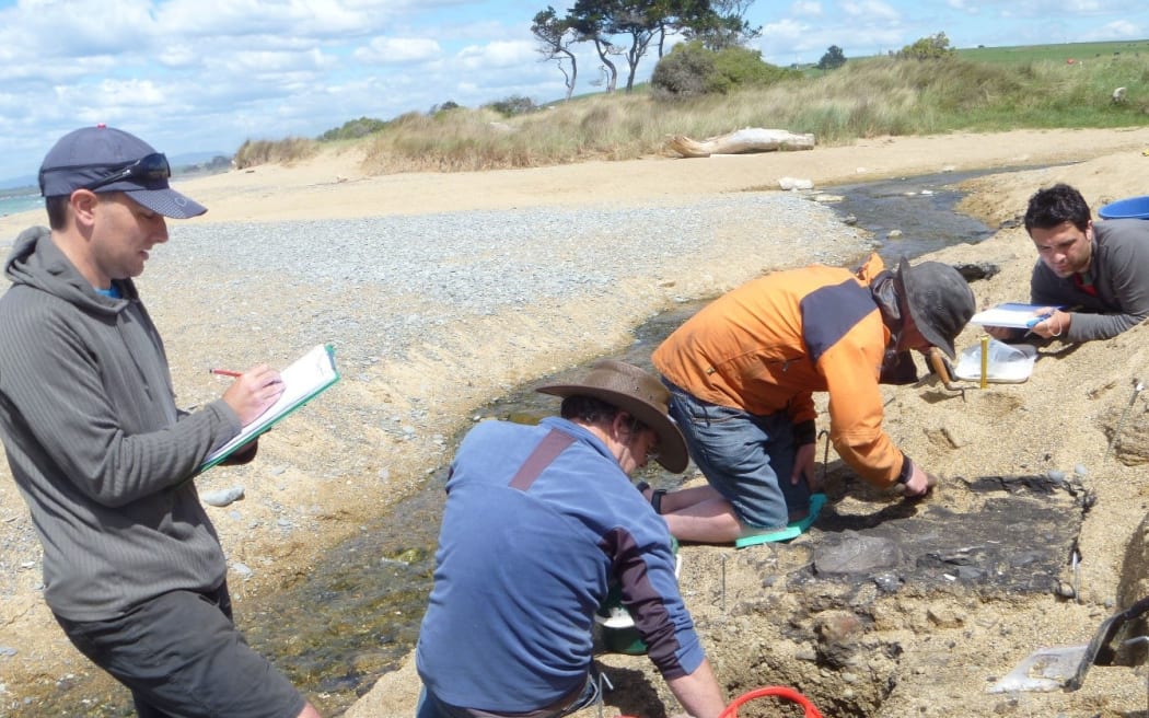 Excavation site at Awamoa