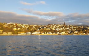 Nelson city