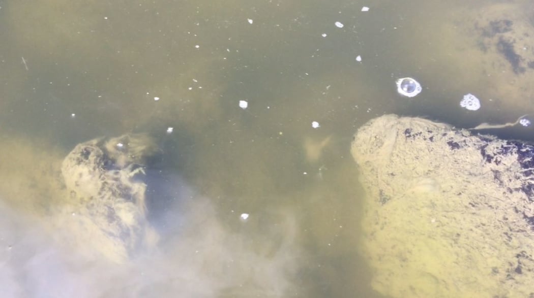The video's narrator describes toilet paper and "raw sewage" flowing from a wastewater treatment plant into the Mangaore Stream.