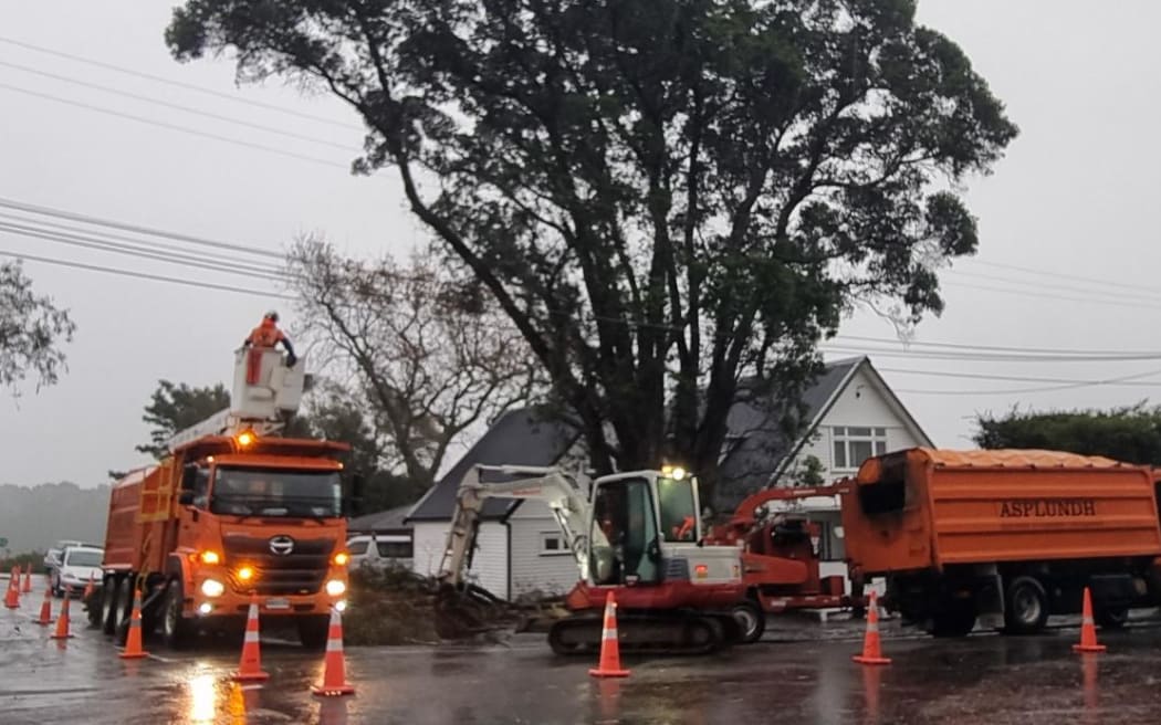 Overgrown Pohutukawa tree is removed from Ballance St, New Plymouth.