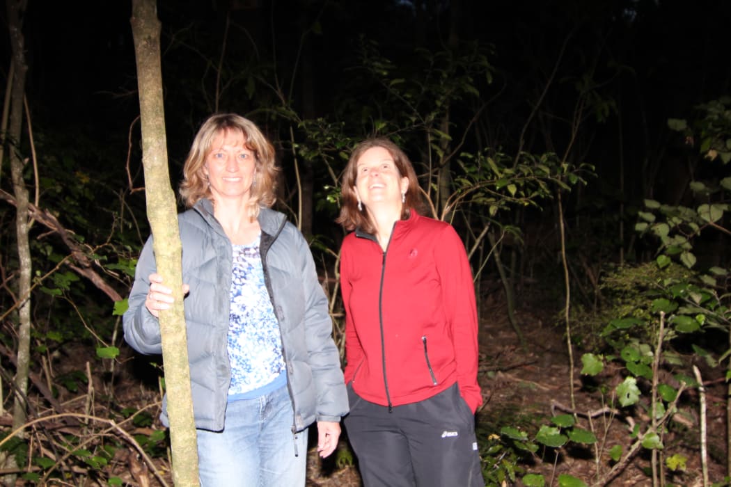 Alison Evans (left) from the Banks Peninsula Conservation Trust, and DOC scientist Moira Pryde, are out at night looking for ruru in a lowland reserve in the Okuti Valley.