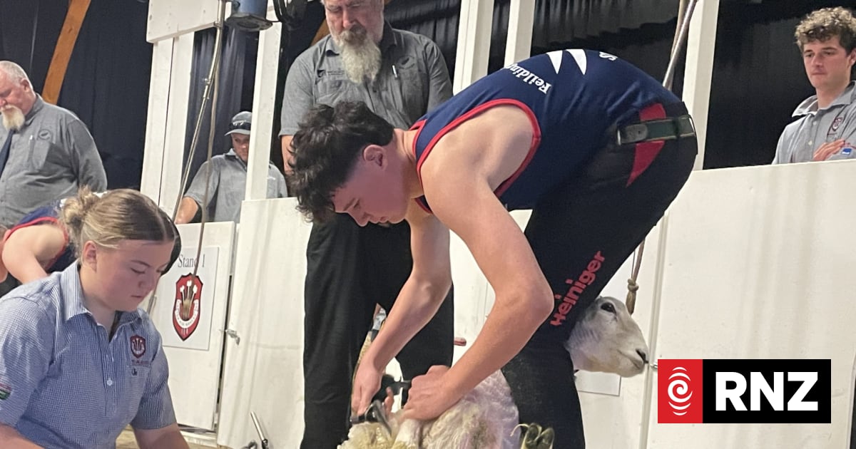 School's shearing and woolhandling contest attracts top talent | RNZ