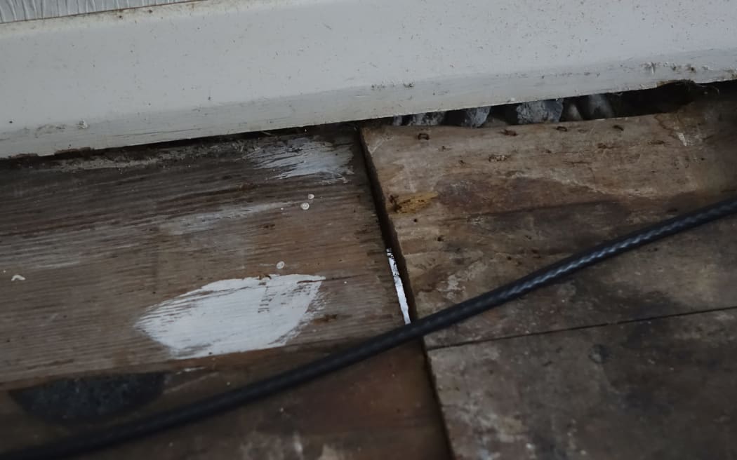 Mould in outside paving that is visible through a gap in the floorboards.
