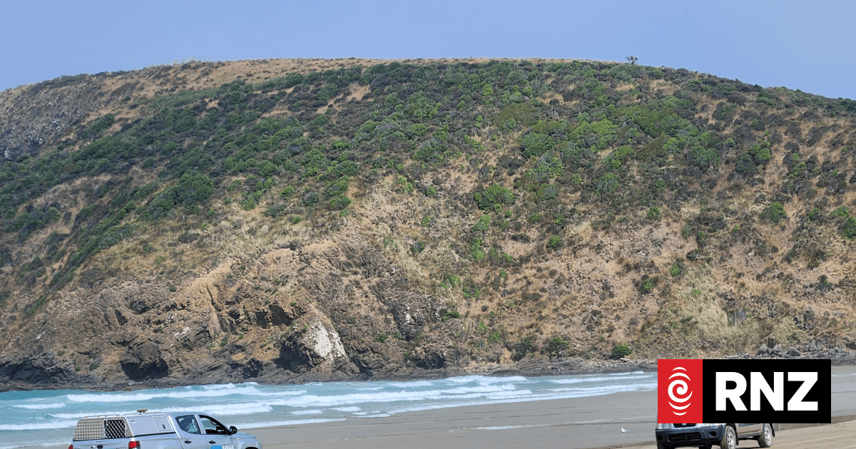 Cries of 'shame on you' as Clutha councillors vote on looking into vehicle-free zones on beaches - RNZ by Otago Southland Reporter