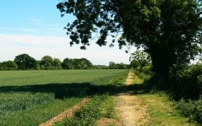 Bridleway to Down Ampney, the village where composer Ralph Vaughan Williams was born on 12 October 1872.