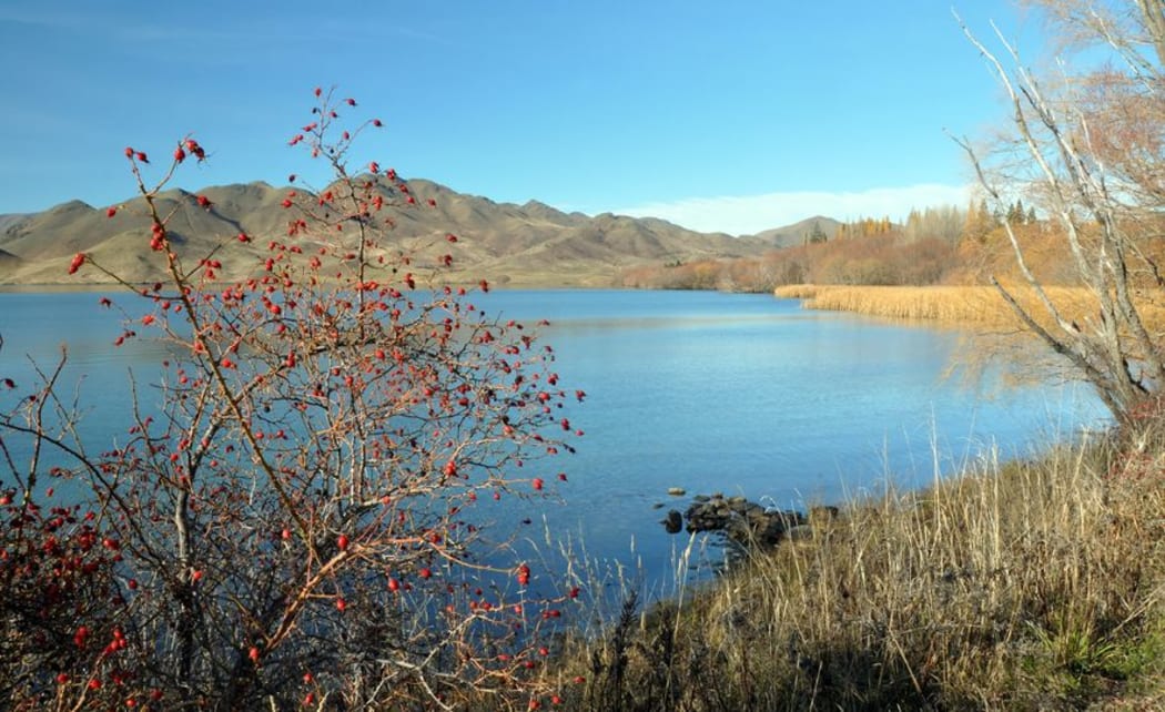 Lake Benmore in Central Otago.