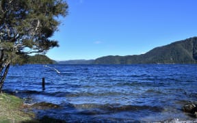 Lake Ōkataina has been closed to boats. Photo / Laura Smith