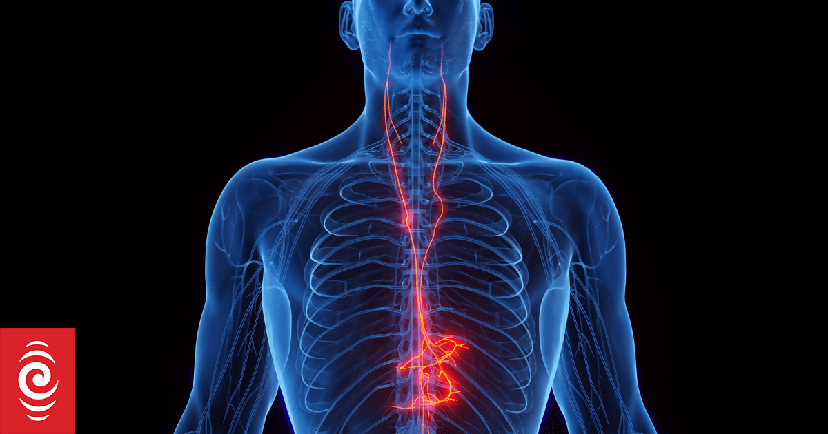 Vagus nerve and mental health