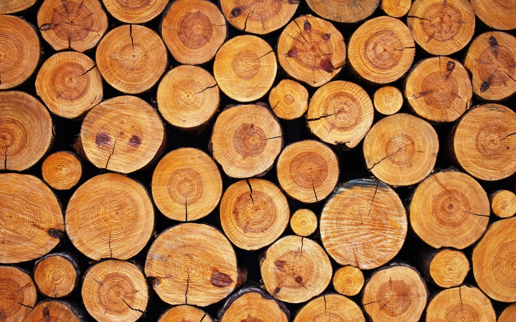 Wood logs.