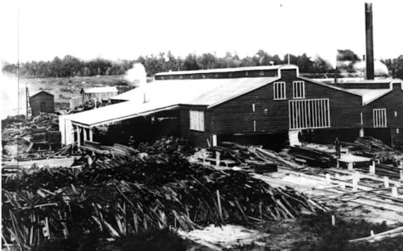 Tauranga City Library Collection 99-1367