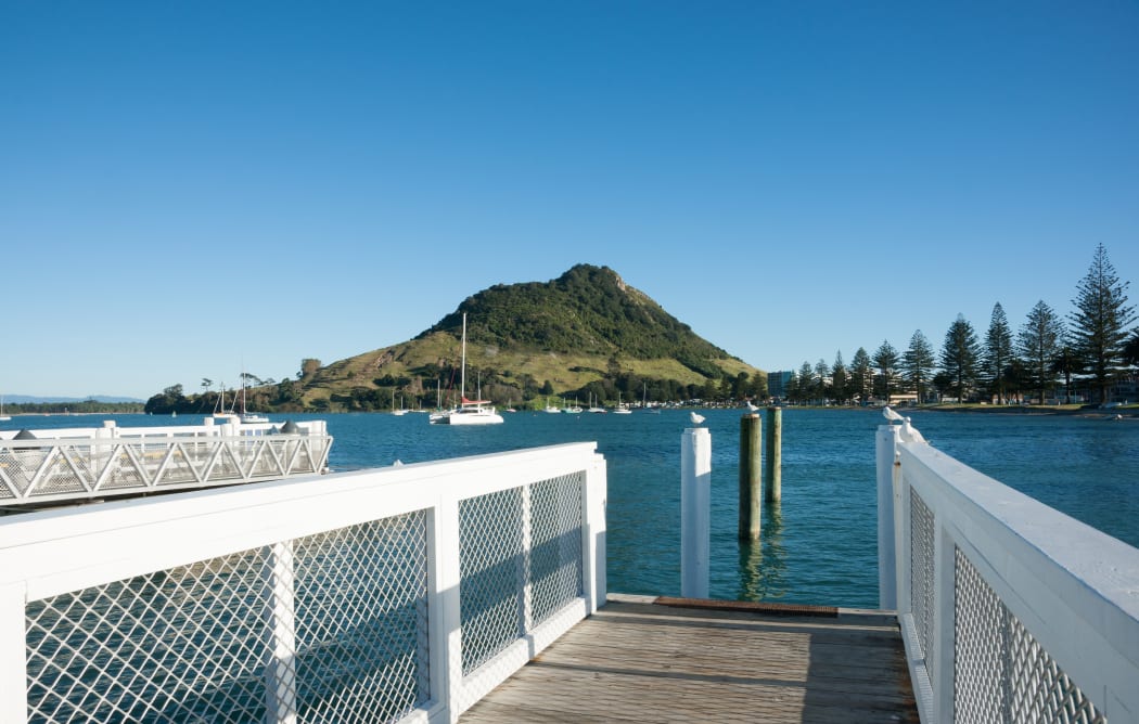 13192311 - pier at pilot bay, mount maunganui