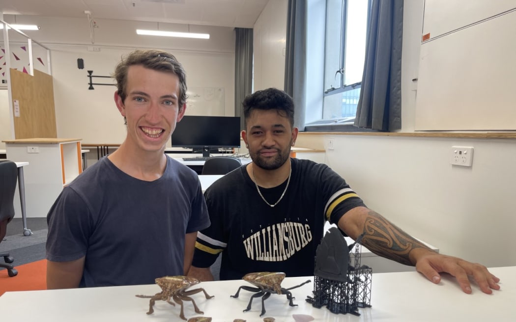 3D-Printed brown marmorated stink bugs