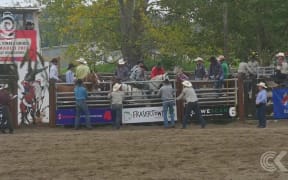 Rodeos 'problematic and prosecutable' if it wasn't for Govt legislation