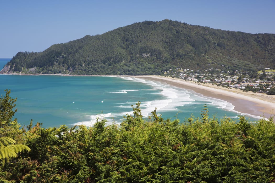 Pauanui seen from Mt. Paku