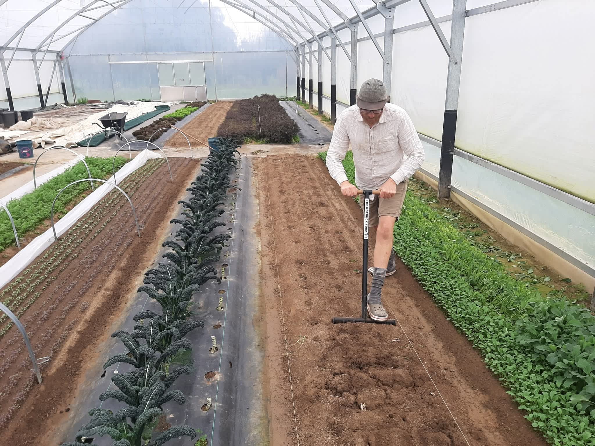 Many swear by gardening as a mood booster - does the evidence back this ...