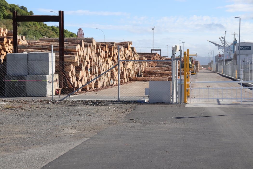 Logs fill the space at Eastland Port in central Gisborne.
