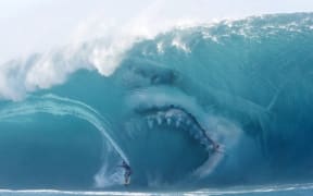 A 75-foot-long prehistoric shark is the true star of The Meg.