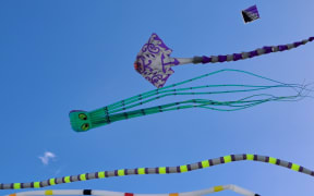 The annual Whakarewa Manu Tukutuku, Kite Day, will take place on Saturday at Ngā hau e whā o Pukekohe Marae in Auckland.
