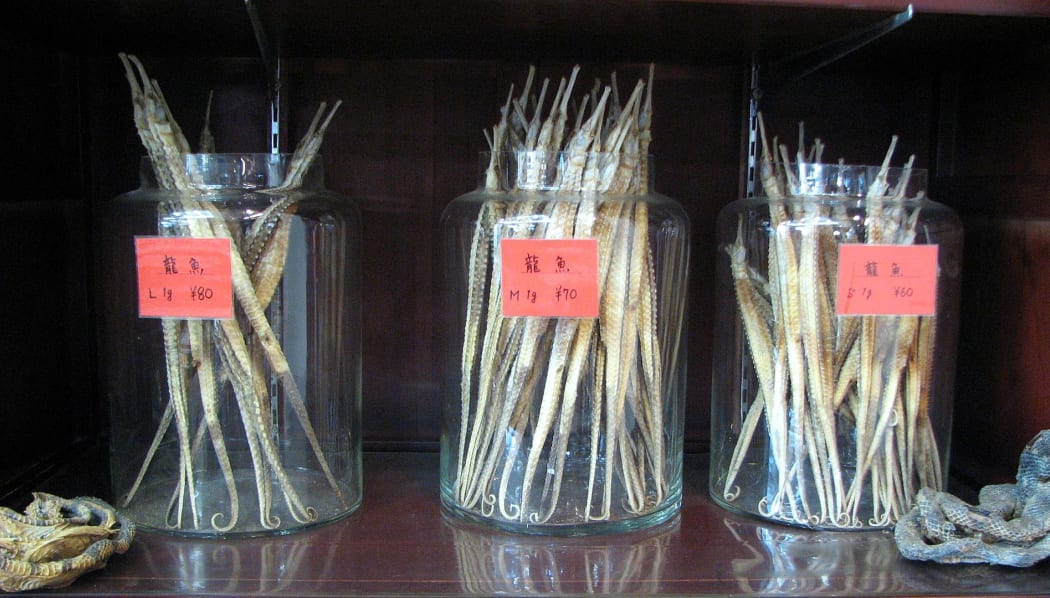 Dried seahorses used in Chinese medicine