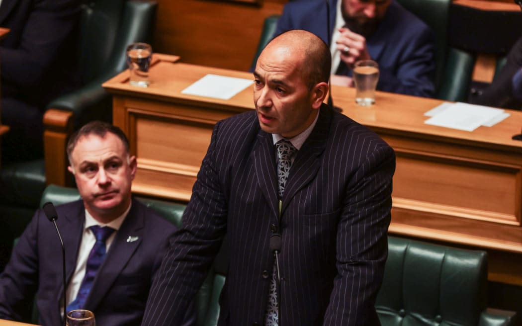 National's Tama Potaka speaks in Parliament, as MPs remember Takutai Tarsh Kemp.