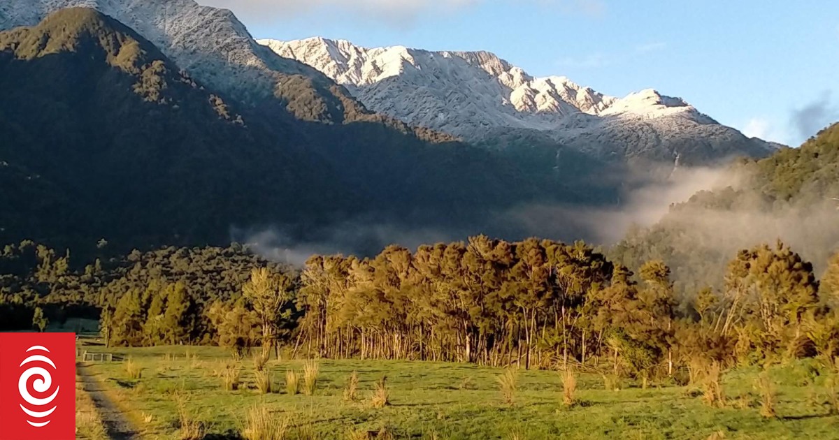 Landowners will 'bowl over' trees to avoid new land regulations – Greymouth mayor - Vimarsana News