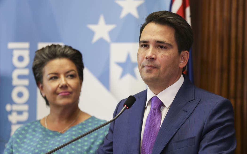 New National Party leader, Simon Bridges and Deputy Paula Bennett