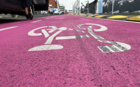 The photo is taken from road level. It shows a pink cycleway on a road in central Auckland.