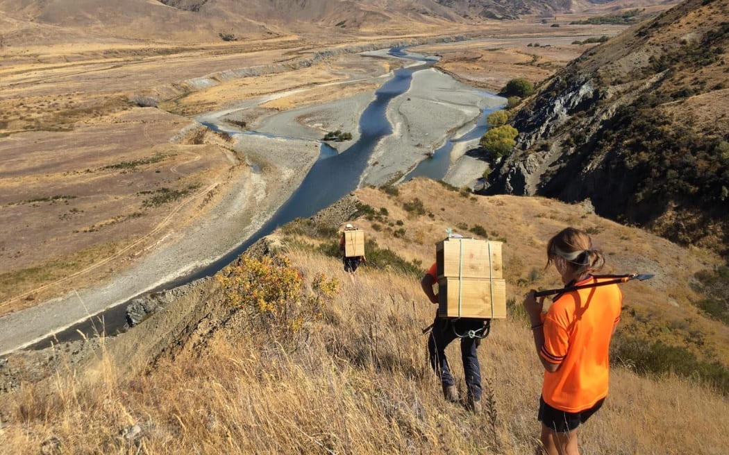 PredatorFree NZ's Apprentice Programme will end with Jobs for Nature funding mid-next year, if a new source of money isn't found.