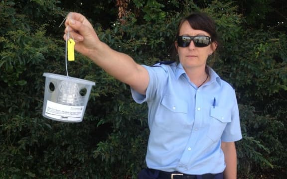 Ministry for Primary Industries Compliance Officer Marcie Cooke holding a trap.