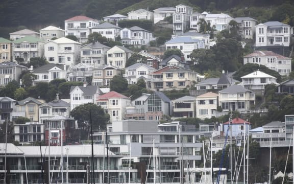 Wellington Rain; Housing;