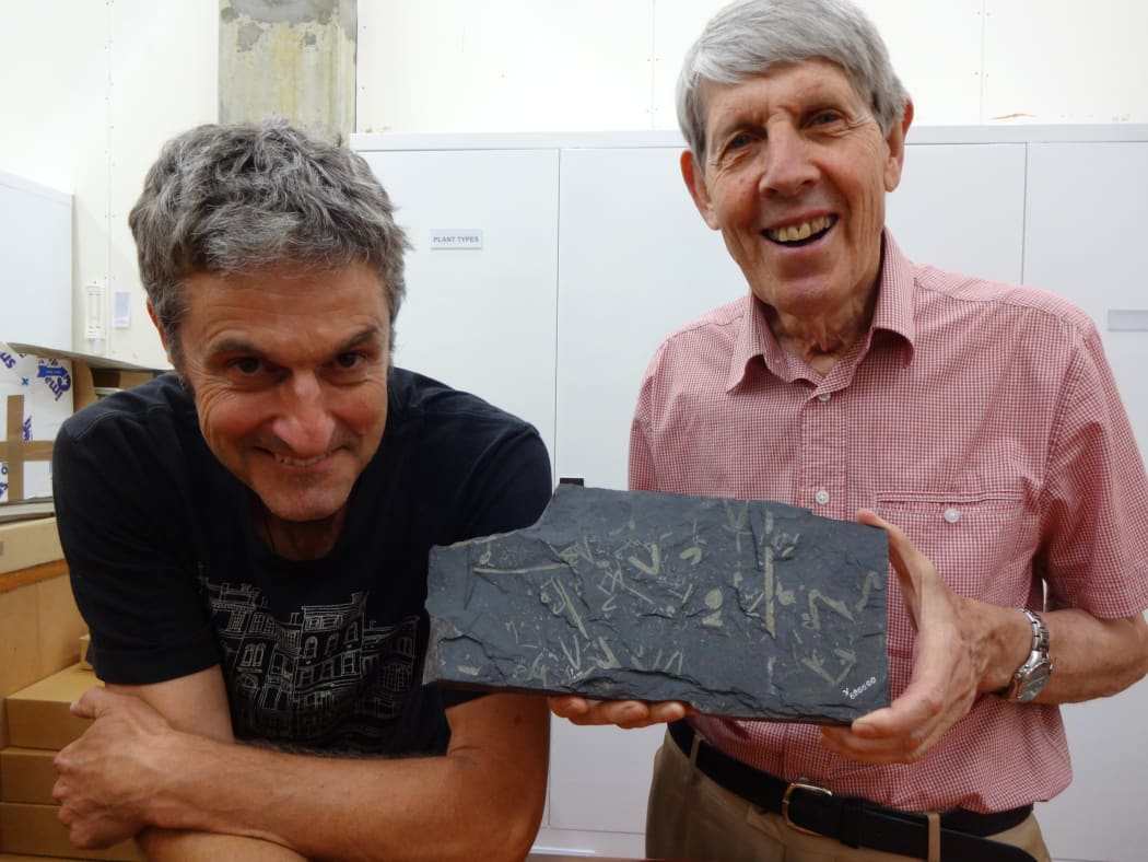 Palaeontologists James Crampton, left, and Roger Cooper with a slab of shale with several graptolites.