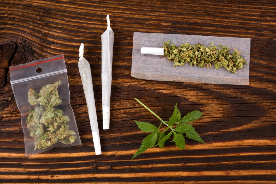 Cannabis referendum evidence does not suggest legalisation would mean