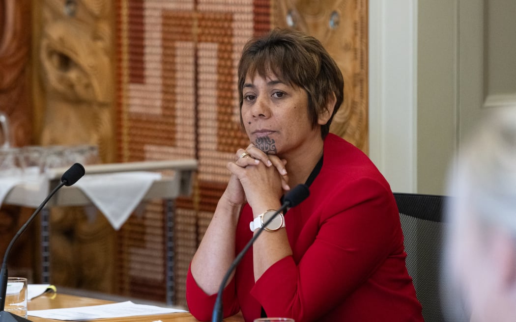 Labour Party MP Cushla Tangare-Manuel in select committee.