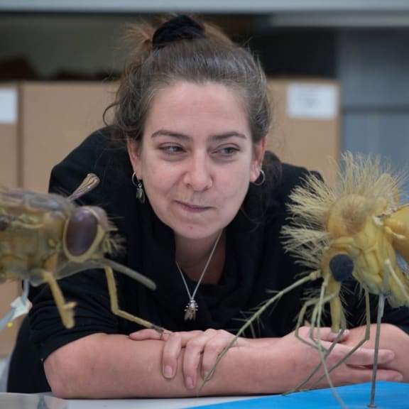 Erica McAlister, a curator of flies at the Natural History Museum