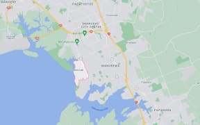 Clendon Park